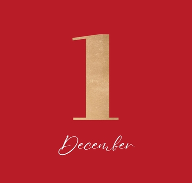 Nyhetsbrev, november 2023