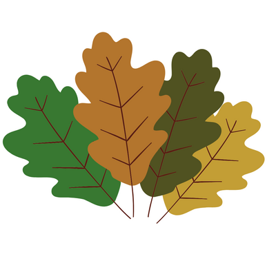 Föreningsbrev, november 2025