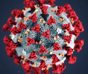 13.3 Vädjan till alla föräldrar gällande Corona-viruset