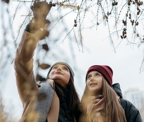 I coronatider  - erfarenheter från Island