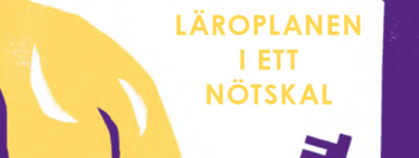 Läroplanen i ett nötskal