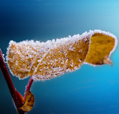 Nyhetsbrev, september 2023